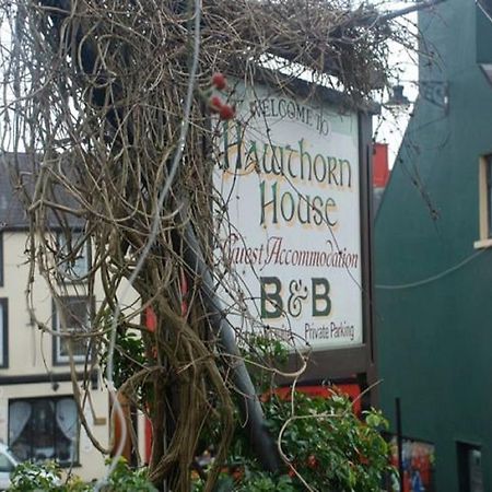 Hawthorn House Guesthouse Kenmare Dış mekan fotoğraf